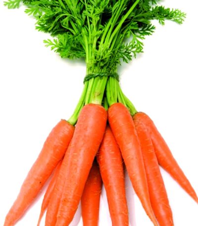 carrot