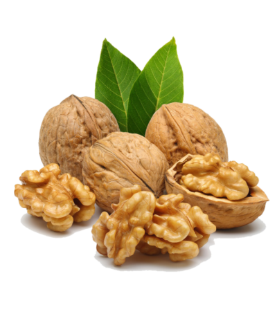 walnut