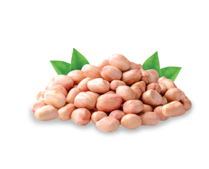 organic groundnut