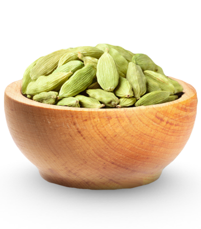 green-cardamon-online-thoraipakkam