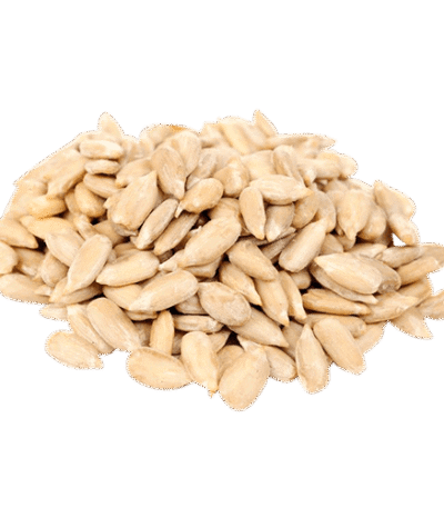 Sunflower Seed