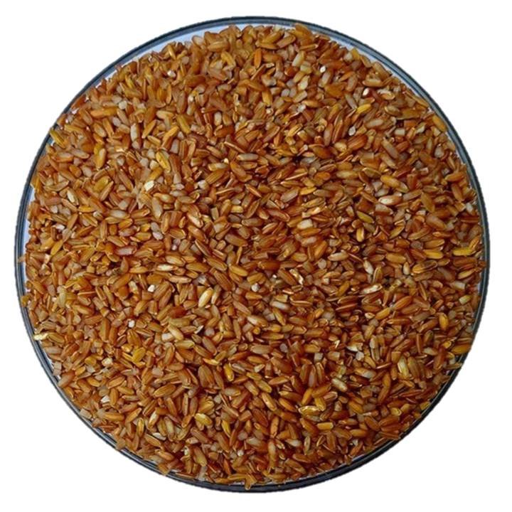 Rakthashali Rice 500GM ok - Uzhavu Organic